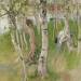 Nude Boy among Birches